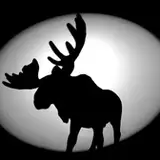 HankTheMoose
